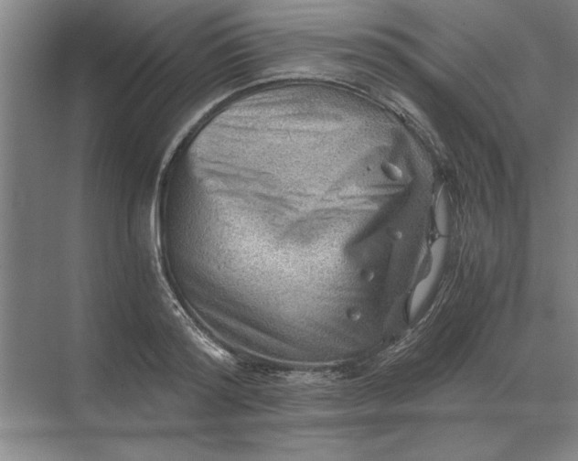 X0000068830796200605191857