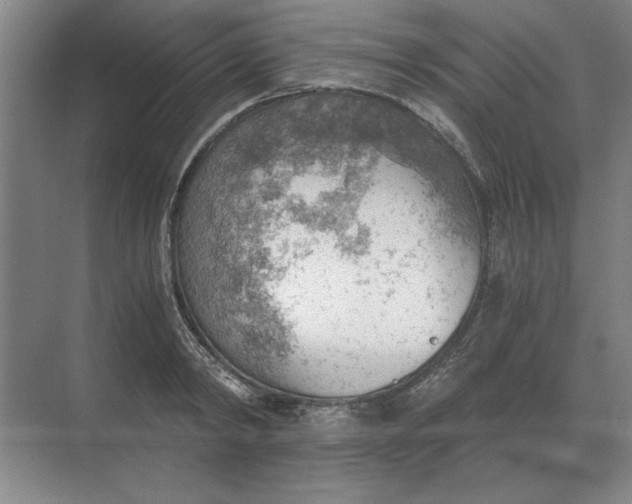 X0000068830798200605191857