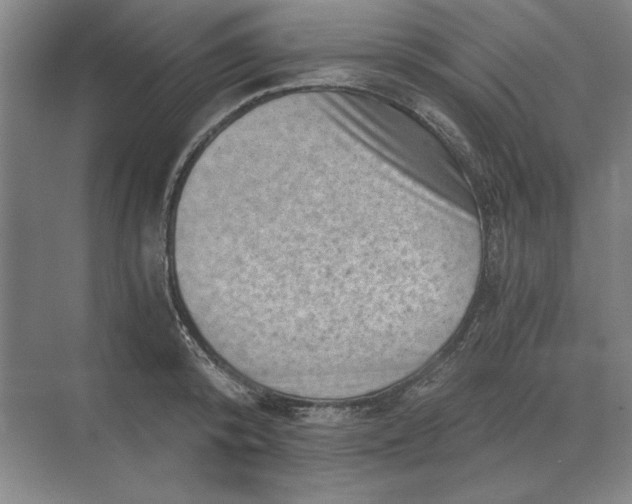 X0000068830800200605191857