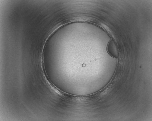 X0000068830802200605191857