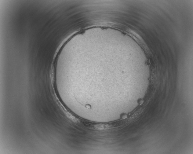 X0000068830804200605191857