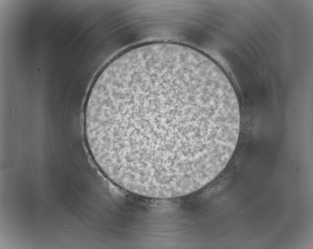 X0000068830807200605191857