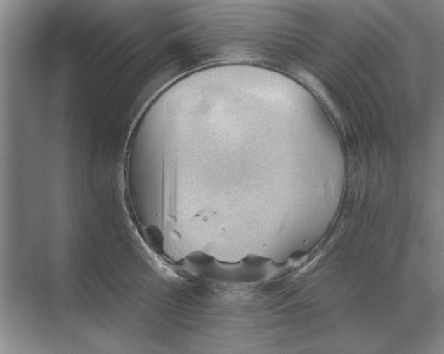 X0000068830810200605191857