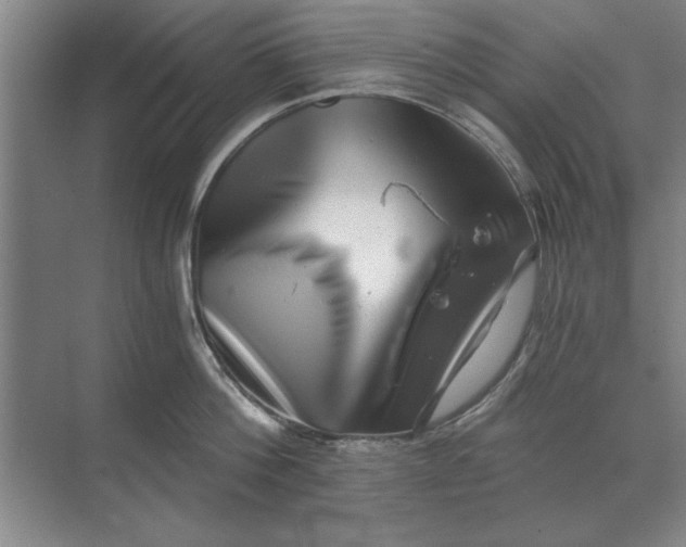 X0000068830812200605191857