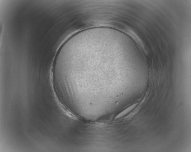 X0000068830814200605191857