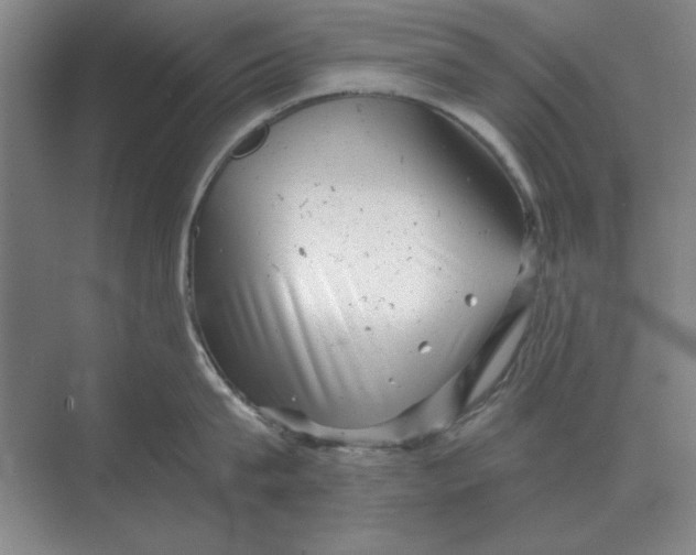 X0000068830815200605191857