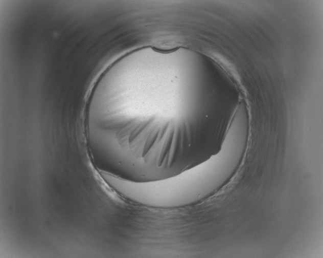 X0000068830816200605191857