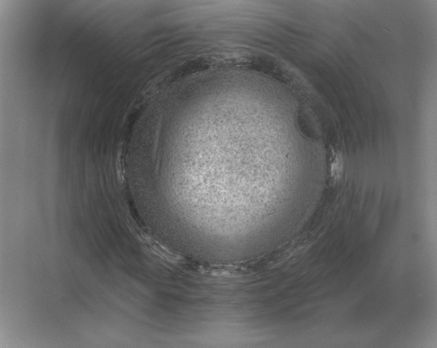 X0000068830819200605191856