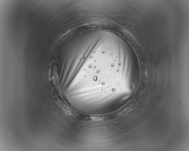 X0000068830822200605191856