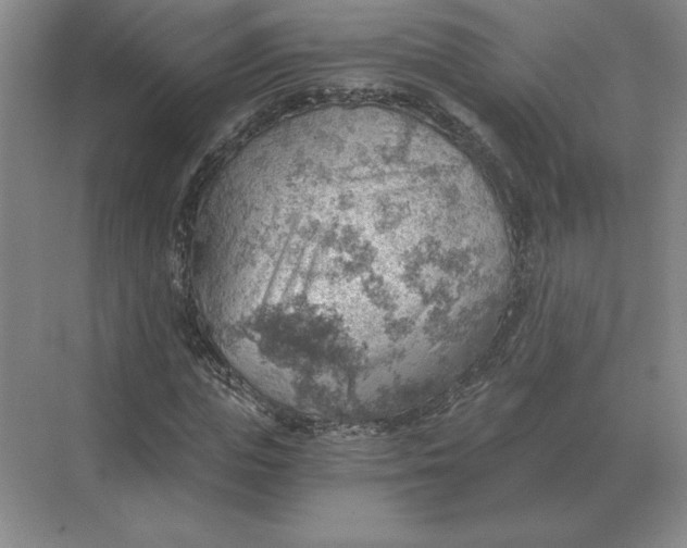 X0000068830823200605191856