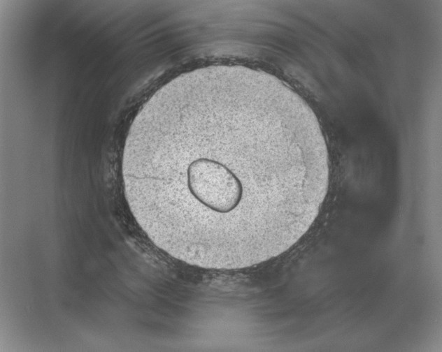 X0000068830824200605191856