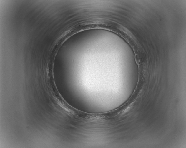 X0000068830826200605191856