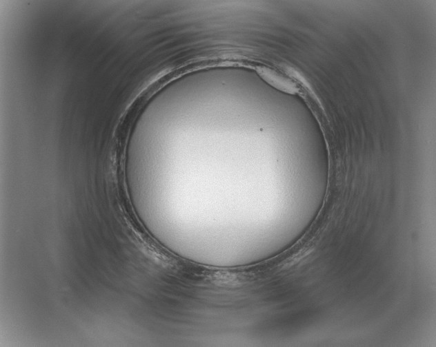 X0000068830827200605191856