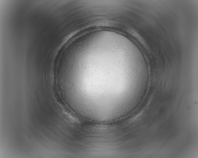 X0000068830829200605191856