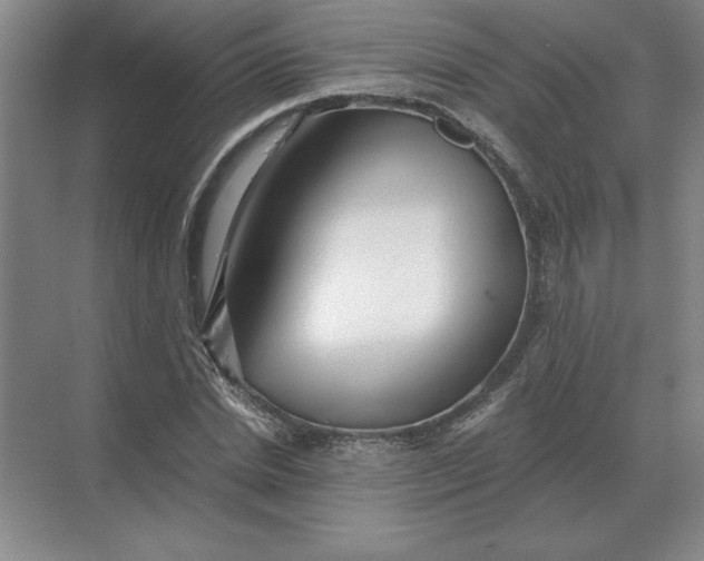 X0000068830830200605191857