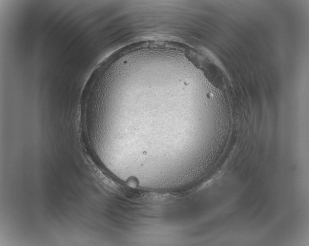 X0000068830831200605191857