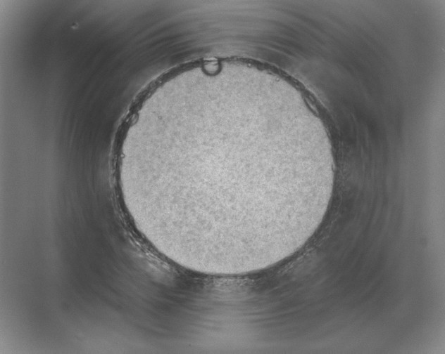 X0000068830832200605191857