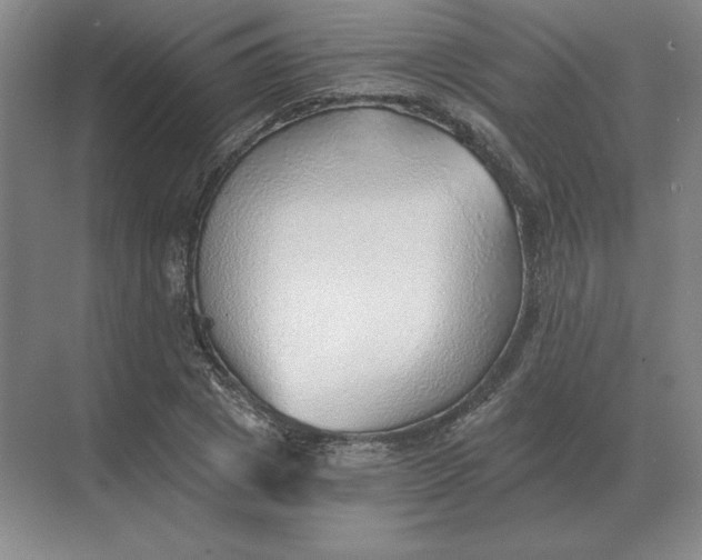 X0000068830833200605191857