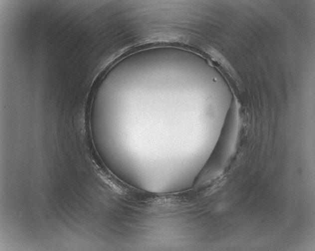 X0000068830834200605191857