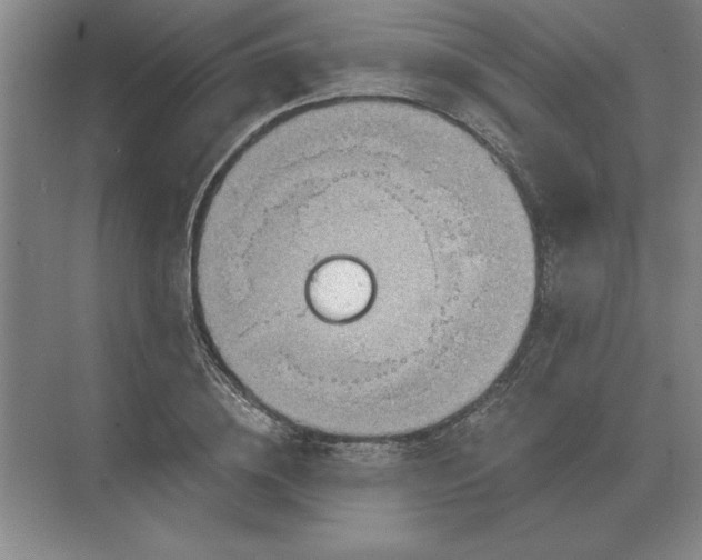 X0000068830836200605191857