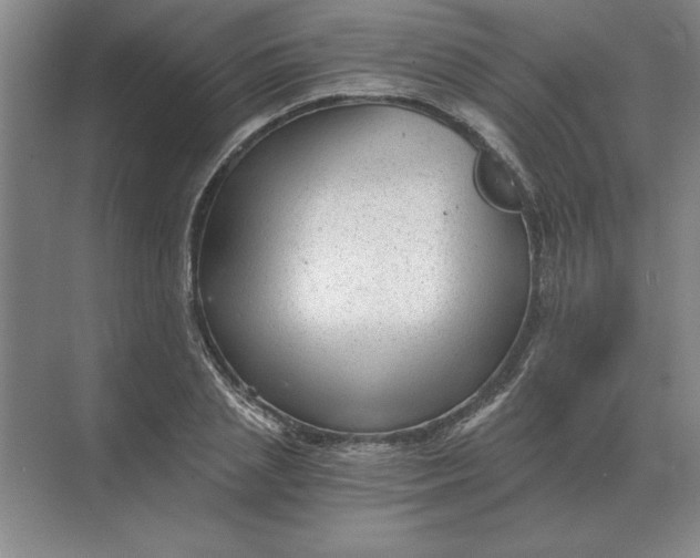 X0000068830837200605191857