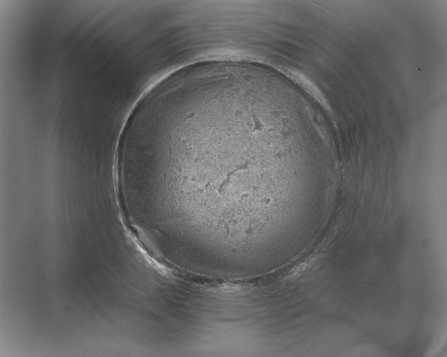 X0000068830839200605191857