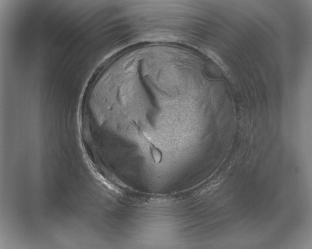 X0000068830840200605191857