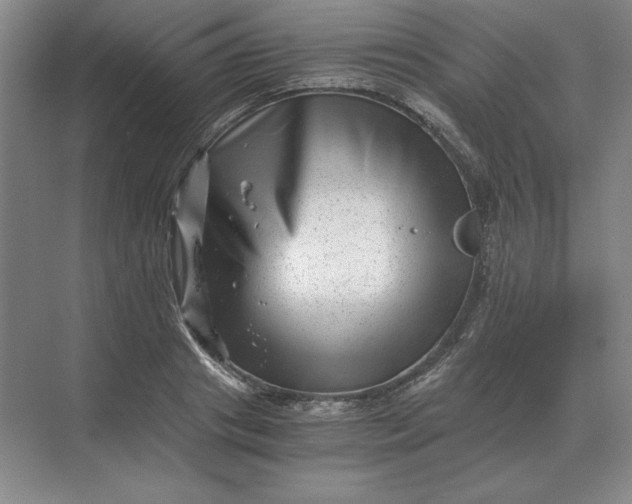 X0000068830841200605191857