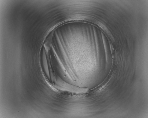 X0000068830842200605191857