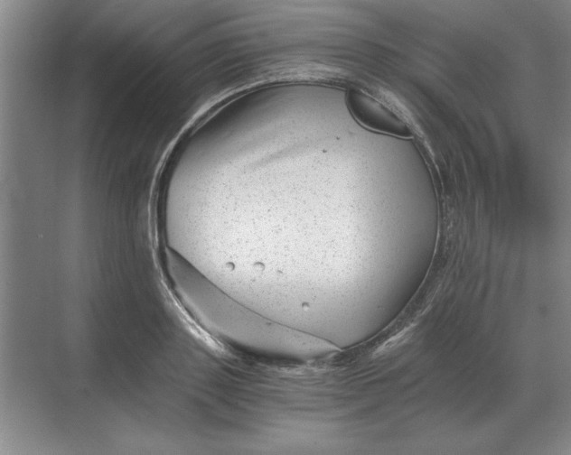 X0000068830843200605191857