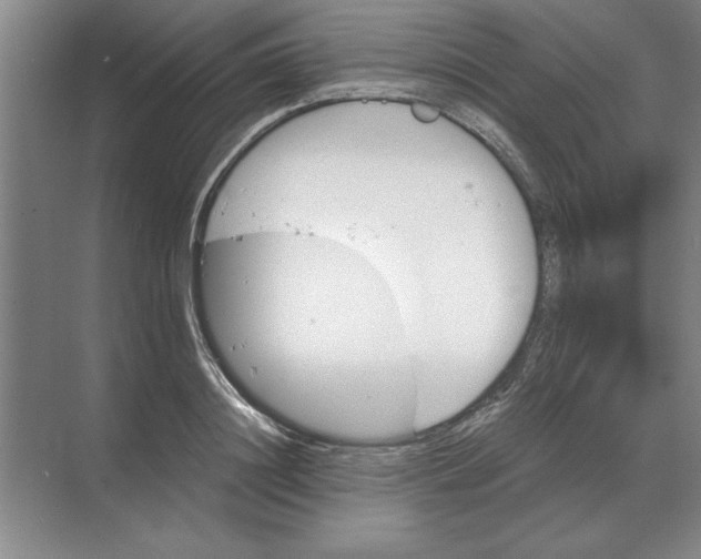 X0000068830844200605191857