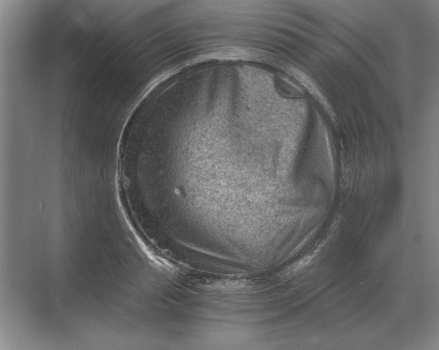 X0000068830845200605191857