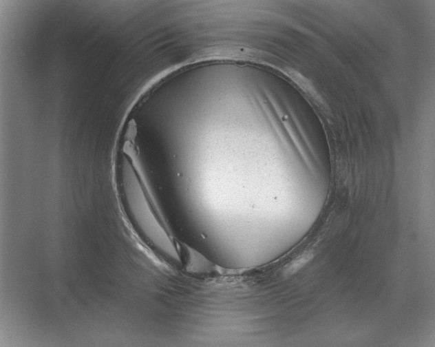 X0000068830846200605191857