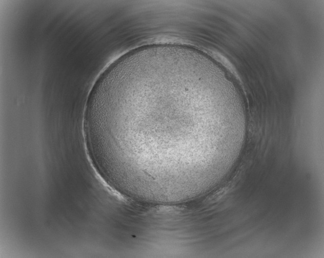 X0000068830847200605191857