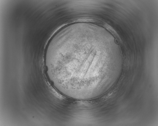 X0000068830852200605191857