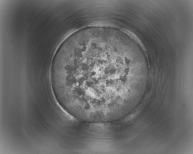 X0000068830855200605191857