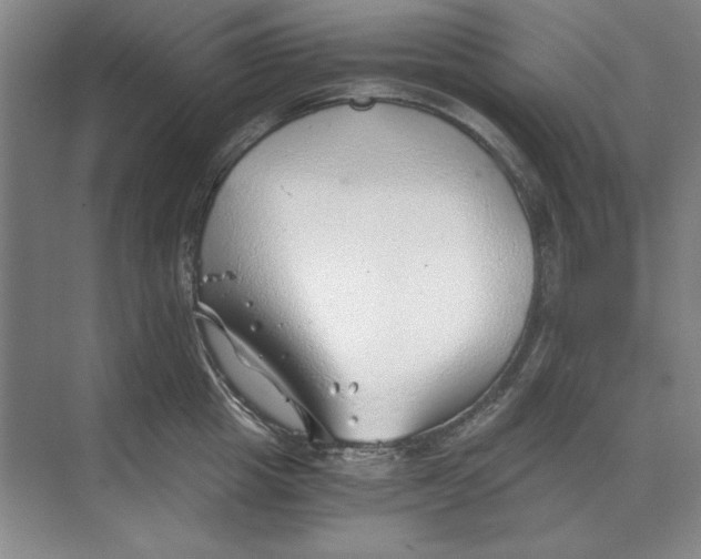 X0000068830857200605191857