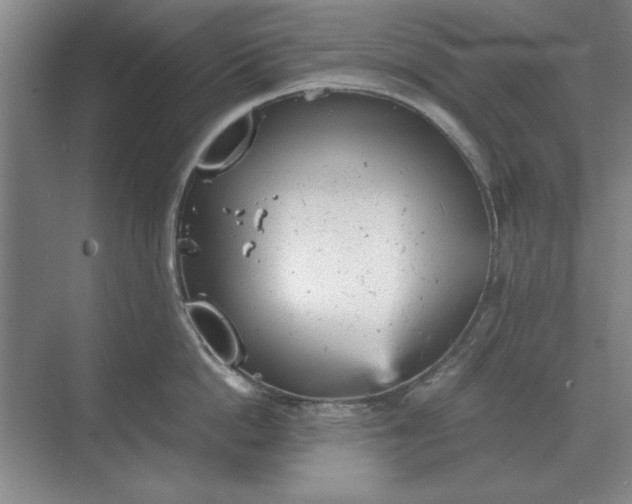 X0000068830862200605191857