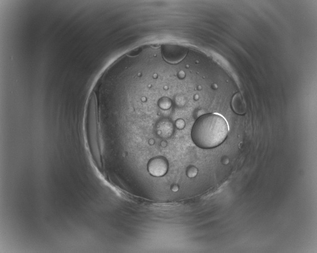 X0000068830863200605191857