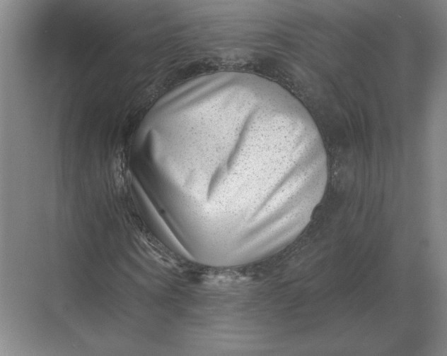 X0000068830866200605191856