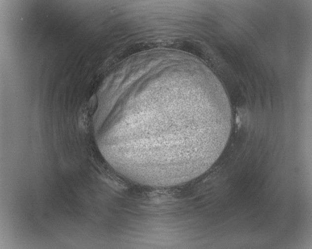 X0000068830867200605191856