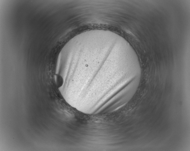 X0000068830870200605191856