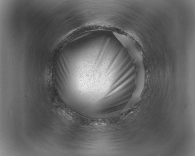 X0000068830872200605191856