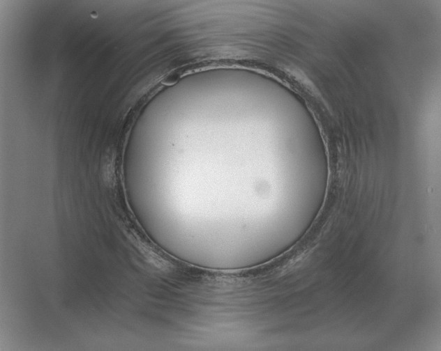 X0000068830873200605191856