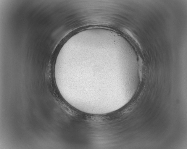 X0000068830875200605191856