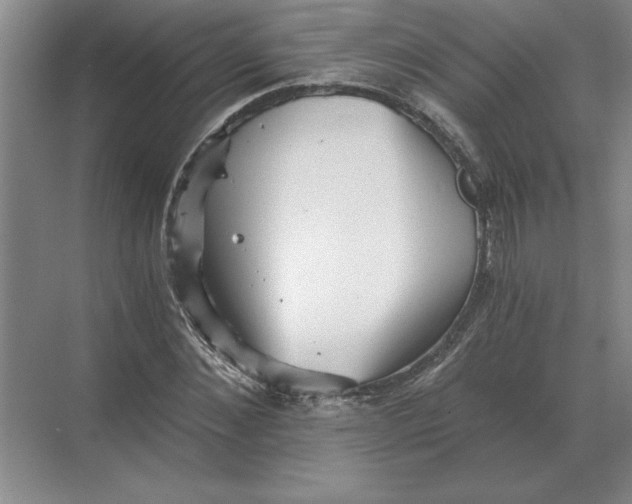 X0000068830876200605191856