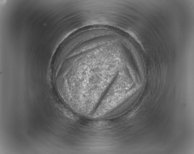 X0000068830879200605191856