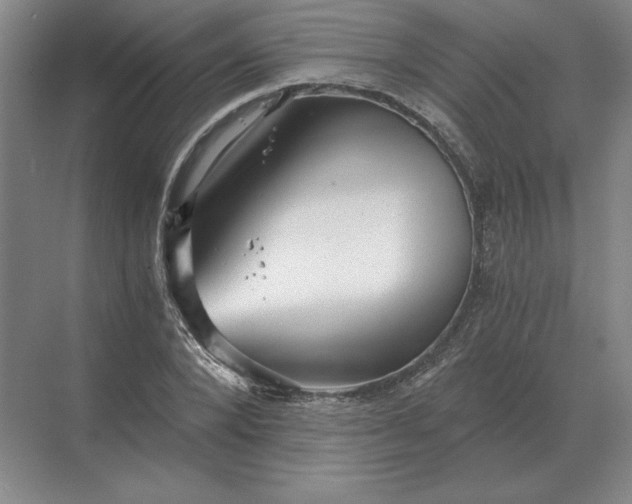 X0000068830880200605191856