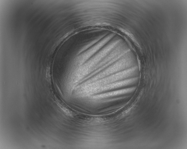 X0000068830881200605191856