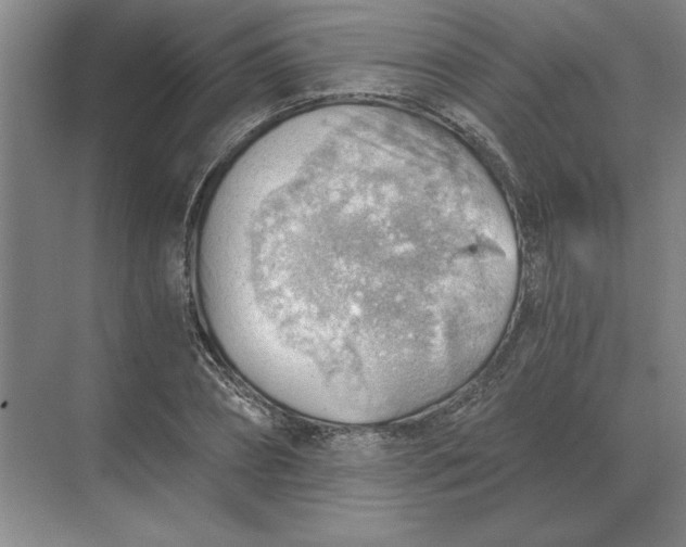 X0000068830882200605191856